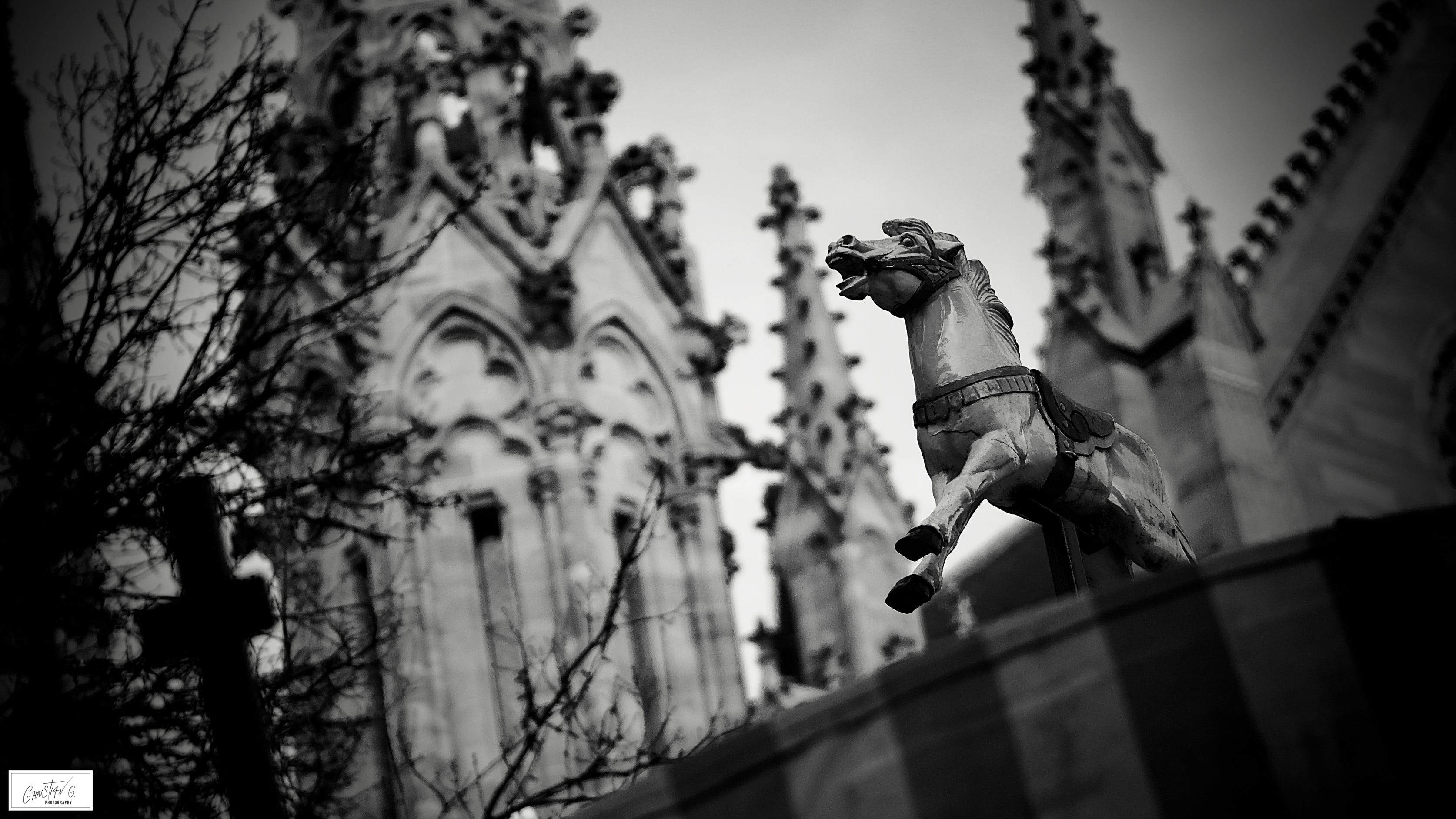 Shooting CG Photography - Christian Gafenesch - Photographe artistique - Alsace, France - Shooting, Portraits, Street Photography